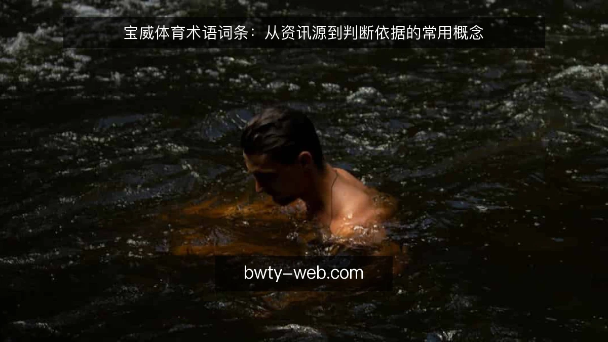 宝威体育术语词条:从资讯源到判断依据的常用概念