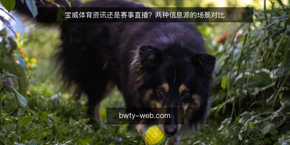 宝威体育资讯还是赛事直播？两种信息源的场景对比 — 场景设定：赛前两小时的信息缺口 配图
